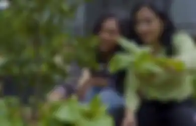 Tak Hanya Miliki Rumah yang Super Mewah Bak Istana, Prilly Latuconsina Juga Punya Kebun Organik yang Luas di Samping Rumahnya, Tengok Potret Perkebunan Mantan Maxime Bouttier yang Asri