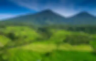 Jawaban Apa yang Menyebabkan Sistem Subak Berhasil Meraih Perhatian Dunia Kelas 5 SD Tema 5