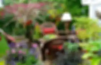Manfaatkan Tanaman untuk Bikin Ilusi, Taman Pun Terkesan Lebih Luas!