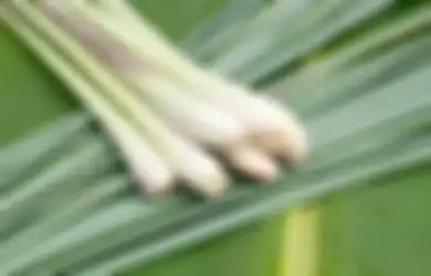 Tak Sekadar Jadi Bumbu Dapur, Tanaman Suku Rumput-rumputan Ini Ternyata Punya Manfaat Luar BIasa untuk Merawat Kulit Wajah