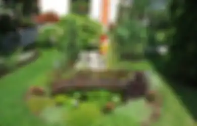 4 Kunci agar Taman di Rumah jadi Lebih Cantik dan Mencuri Perhatian