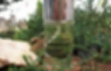 Mendunia, Kenalin Parfum Tobarium Asal Sumatera Utara!