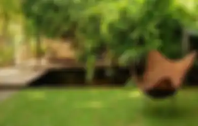 Ini Beda Taman Minimalis dengan Taman Tropis, Cek sebelum Membuat!