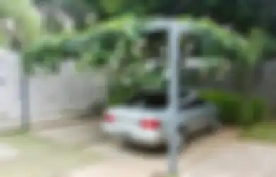 Ada Risiko Jadikan Tanaman untuk Peneduh Carport, Jangan Salah Pilih!