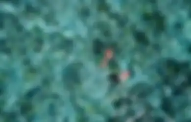 Ditantang Jadi Sutradara, Kunto Aji dan 6 Musisi Ini Berhasil Garap Tiga Film Pendek Sarat Makna