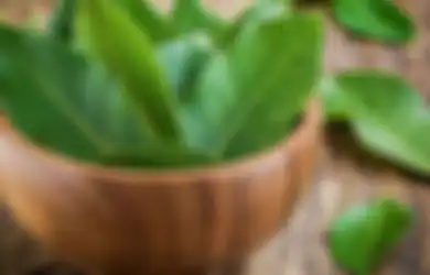 Air Rebusan Tanaman Herbal Ini Ternyata Ampuh Obati Kanker Payudara