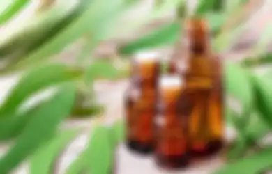Hati-hati Ini yang Terjadi di Tubuh, Pikir Sekali Lagi Jika Ingin Konsumi Minyak Kayu Putih untuk Obat Covid-19