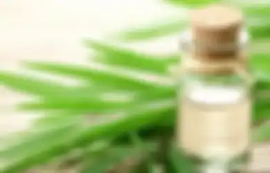 Siapa Sangka Campuran Minyak Kayu Putih dan Deterjen Bisa Hilangkan Tungau Kasur, Menyesal Baru Tahu!