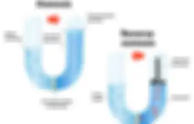  Air Berkualitas Sehatkan Tubuh, Ini Beda Penjernihan Air Sistem Reverse Osmosis Vs Sistem UV