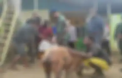 Nasi Sudah Jadi Bubur, Foto Pemberian Babi Sebagai Tanda Maaf Beredar, Danlanud Merauke Pasrah Dicopot Panglima TNI