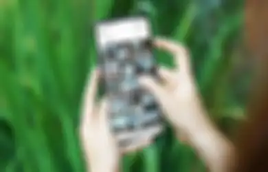4 Tips Bikin Feed Instagram Menarik Layaknya Influencer