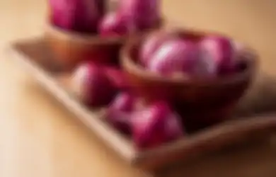 Siapkan Semprotan Berisi Potongan Bawang Merah, Hewan Menyebalkan Ini Akan Lari Terbirit-birit, Simak Bahan-bahannya Yuk!