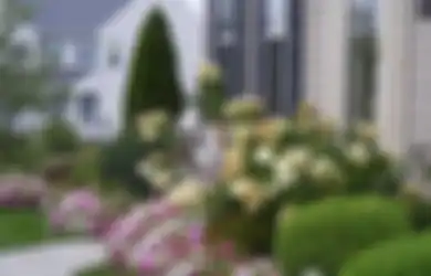 Taman Teras Solusi Rumah di Area Berkontur dan Optimalkan Lahan Sempit
