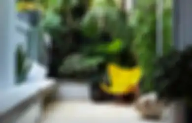 Ruang Santai di Dalam Rumah Pemandangannya Tembok, Mana Bisa Rileks? Yuk Pindahin ke Luar Saja, Ini Caranya!