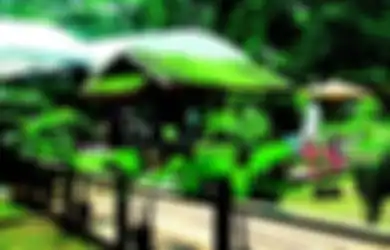 Tampil Natural dan Biaya Lebih Terjangkau, Yuk Kenali Pembuatan Taman Atap dengan Sistem Gardenroof