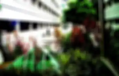  Mengenal Taman Atap Intensif dengan Ekstensif, Mana yang Lebih Mudah Pembuatannya?