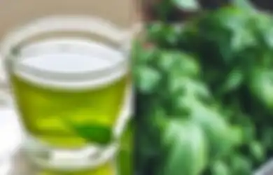 Ampuh Cegah GERD Kambuh, Daun Kemangi Bisa Jadi Minuman Herbal untuk Pengidap Asam Lambung, Begini Cara Mengolahnya