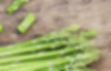 BERITA TERPOPULER: Stop! Jangan Lagi Dimakan Jenis Makanan Ini, Pertahanan yang Dia Bangun Langsung Runtuh sampai Bukan Nagita Slavina atau Syahrini