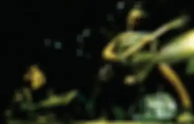 Muncul Rumor Vicky Keluar dari Burgerkill, hingga Gosip Digantikan Daniel Eks-DeadSquad, Eben: Kami Fokus Berkarya Aja, Itu yang Penting