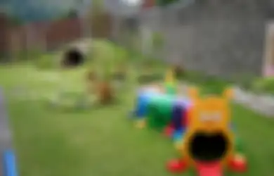 Cara Mudah Ciptakan Taman Bermain Anak di Area Belakang Rumah