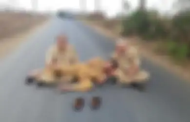 Kerap Pamer Foto Proyek Jalan, Akun Instagram Bupati Banjarnegara Mendadak Lenyap, Unggahan Kontroversial Ini Jadi Penyebabnya