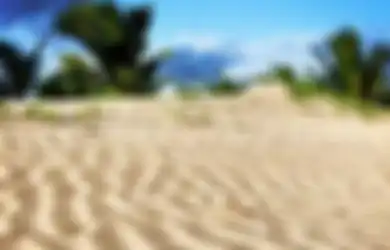 Masuk Dalam Bentang Pesisir Indah Merauke, Tengok Lokasi Wisata Pantai Payum dengan Pesona Baharinya yang Masih Alami