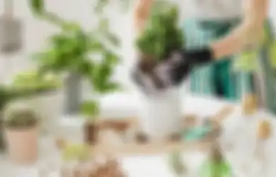 Wow! Aktivitas Berkebun Berikan 6 Manfaat Tak Terduga Ini Bagi Kesehatan, Lho!