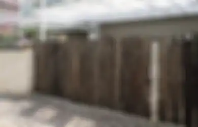 Sontek Yuk 6 Pilihan Desain Pagar yang Cocok untuk Rumah Tropis