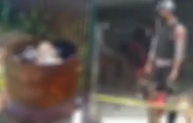 Terendus Anjing Pelacak dan Terekam CCTV, Fakta Baru Pembunuhan Tuti dan Amalia Terkuak, Aksi Mencurigakan Wanita Ini Jadi Sorotan