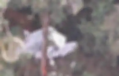 Jatuh di Wilayah Markas KKB Papua Pimpinan Zakius, Penampakan Puing Pesawat Rimbun Air Bikin Syok, 3 Kru Ditemukan Meninggal Dunia