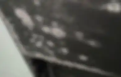 Begini Cara Cegah Pertumbuhan Jamur pada Perabot Rumah, Mudah!