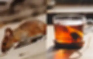 Tanpa Repot Gunakan Perangkap dan Racun, Ternyata Tikus Bisa Diusir Hanya dengan Ampas Teh!