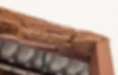 Basmi Rayap di Rumah dengan Cara Ini, Tak Ada Lagi Perabot yang Rusak