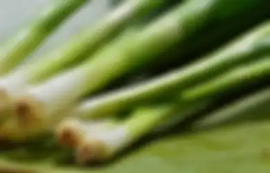 AJAIB! Air Rebusan Daun Bawang Bisa Jadi Obat Mujarab Bagi Keluhan Kesehatan, Tak Perlu Obat Kimia