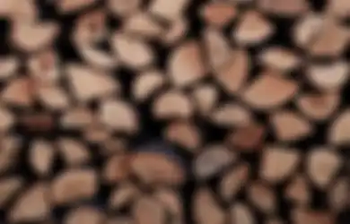 Ternyata Kekerasan Kayu Tak Terlalu Menentukan Keawetannya, Kok Bisa?