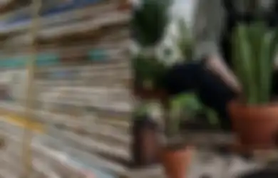 Biasanya Masuk Tempat Sampah, Siapa Sangka Koran Bekas Miliki Manfaat Tak Terduga untuk Tanaman, Bisa Jadi Kompos