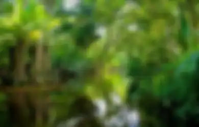 Jawaban Pikiran Utama dan Informasi Penting Bacaan Ekosistem