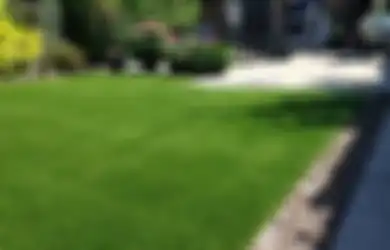 Ingin Menggunakan Rumput Sintetis? Pertimbangkan Dulu Pro dan Kontra Ini!