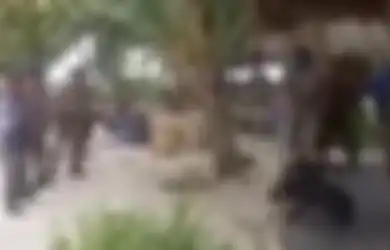 Netizen Teken Petisi Online Hukum Pelaku Aniaya Anjing 'Canon' di Aceh