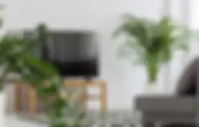 Ternyata Tanaman Besar bisa Jadi Solusi Rumah Mungil, Ini Cara dan Ide Peletakannya 