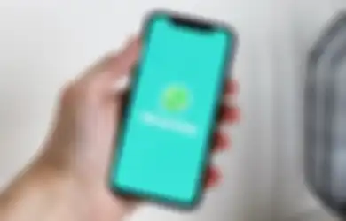 Semua Masyarakat Indonesia Wajib Tahu, Mulai Senin Besok Beberapa Ponsel Ini Tak Bisa Lagi Gunakan WhatsApp