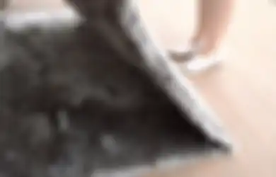 Cara Merawat Karpet Shag agar Bulu Panjangnya Tetap Cantik dan Empuk