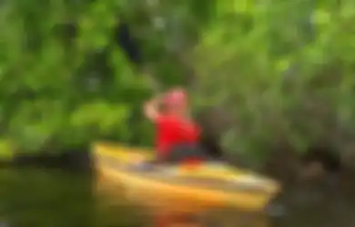 Jawaban Apa Saranmu Agar Hutan Bakau Tetap Lestari Kelas 4 SD Tema 4