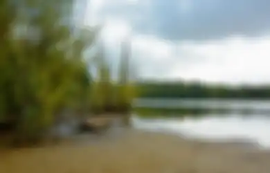 Jawaban Sikap yang Baik dan Kurang Baik dalam Cerita Taman Bermain yang Hilang