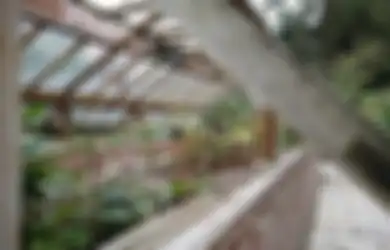 Jawaban Isilah Diagram Berdasarkan Informasi dan Ide Pokok dalam Bacaan Tumbuhan Sumber Kehidupan