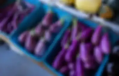 Jawaban Contoh Tumbuhan yang Berkembang Biak Secara Generatif 