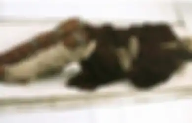 Berumur Sekitar 4.000 Tahun, Inilah Misteri Mumi Tarim dari Xinjiang, Ditemukan di Kaki Pegunungan di China dengan Pakaian Lengkap Ritual Pemakaman Orang Barat, Siapakah Mereka?
