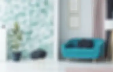 Mana yang Lebih Untung? Ini Pertimbangan untuk Pilih Cat Dinding atau Wallpaper