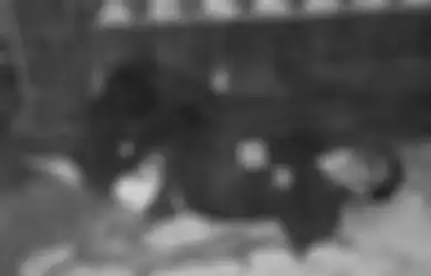 Kaus Mabes TNI Melekat di Tubuhnya, Terungkap Identitas Pria yang Ditemukan Tewas Bersimbah Darah dengan Kaki Patah Melengkung ke Atas di Depan Toko