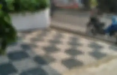 Paving Berongga Inovatif Ramah Lingkungan untuk Carport, Green Roof, dan Taman Vertikal
